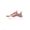 Zapatillas-Deportivo-R18-Mujeres-R18-Xw002--Textil-NUDE-37-2